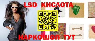 прущие грибы Камышлов