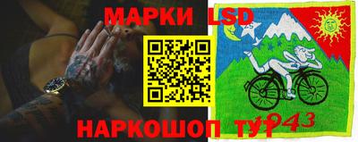 прущие грибы Камышлов