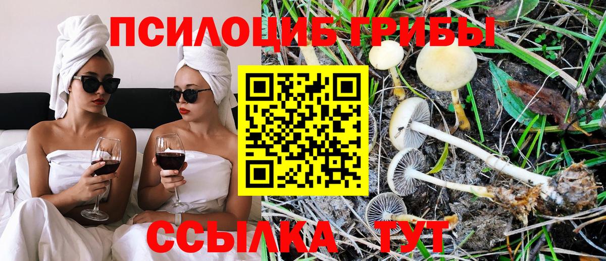 Галлюциногенные грибы Psilocybine cubensis  Галлюциногенные грибы мицелий  наркотики  Вход с VPN  Красноярск 